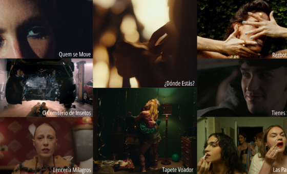 Short films selection