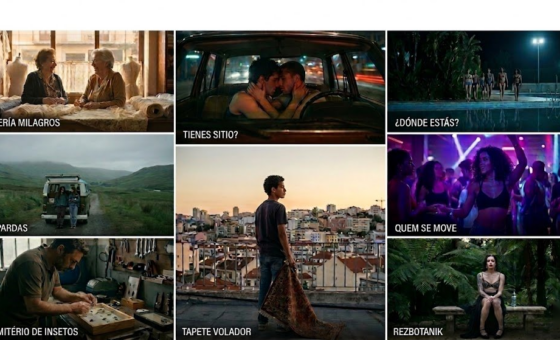 sin_gemini Short films selection